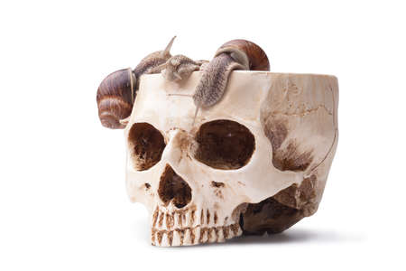 A large bowl of human skull filled with snails. Halloween cocktail