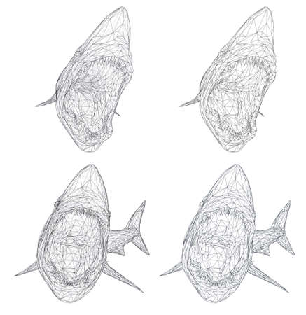 vector 3d shark from a triangular grid. predator isolated on white backgroundのイラスト素材