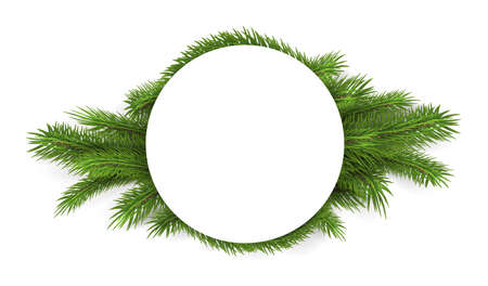 white space for text on spruce branches. vector Isolated on white backgroundのイラスト素材