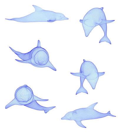 3d vector set. ocean protection. dolphinのイラスト素材