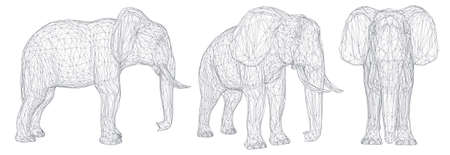 3d vector elephant. Set for designのイラスト素材