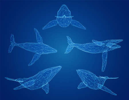 3d vector set. ocean protection. big blue whale