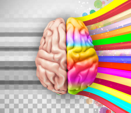 anatomical human brain, mesh vector, scientific article design and medical booklet