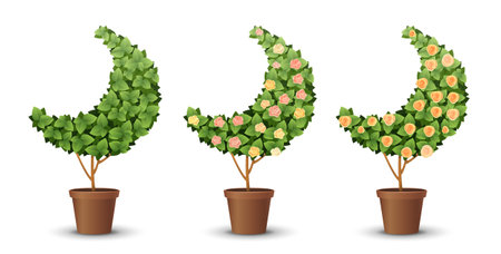 vector set. trees with blooming roses isolated on white backgroundのイラスト素材