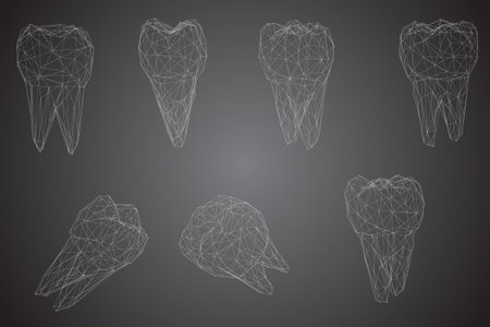 vector set of 3d teeth for dental medicine.のイラスト素材