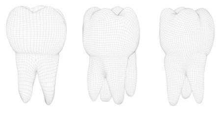 vector set of 3d teeth for dental medicine. isolated on whiteのイラスト素材