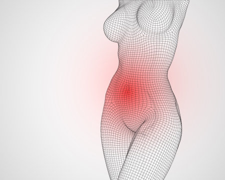 3d female body from square polygons. vector. cure for painのイラスト素材