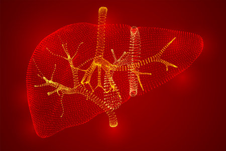 Vector abstract background of dots and glows. human liver.のイラスト素材