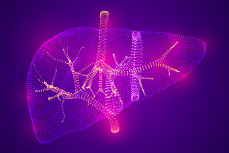 Vector abstract background of dots and glows. human liver.のイラスト素材