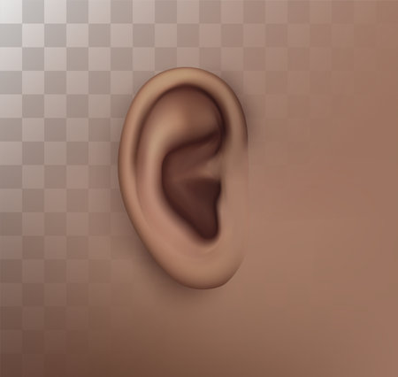 vector human ear. hearing treatment, plastic surgery, implantationのイラスト素材