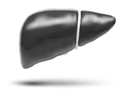 human liver. 3d vector. health and medicine. organ sealのイラスト素材