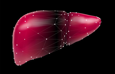 human liver. 3d vector. health and medicine. organ sealのイラスト素材