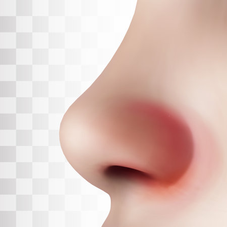 cold, flu, allergies, sick nose vector template for treating symptomsのイラスト素材