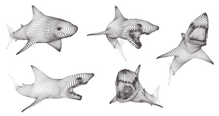 3d vector set. ocean protection. great white shark.のイラスト素材