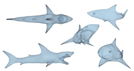 3d vector set. ocean protection. great white shark.のイラスト素材