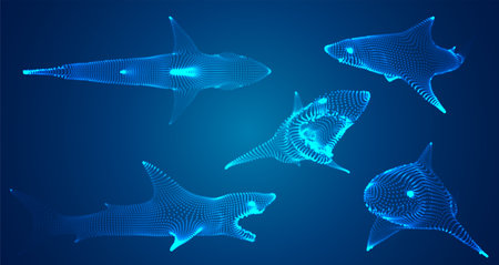 3d vector set. ocean protection. great white shark.のイラスト素材