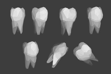 vector set of 3d teeth for dental medicine.のイラスト素材