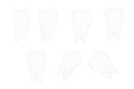 vector set of 3d teeth for dental medicine. isolated on whiteのイラスト素材