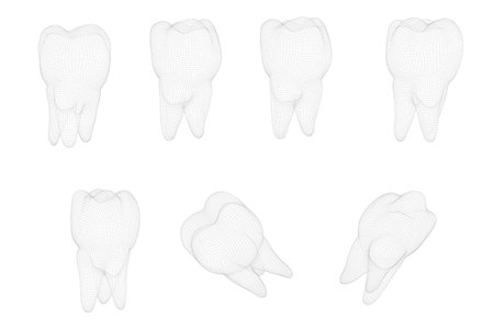 vector set of 3d teeth for dental medicine. isolated on whiteのイラスト素材