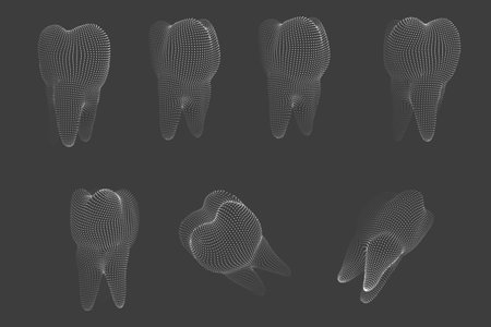 vector set of 3d teeth for dental medicine.のイラスト素材