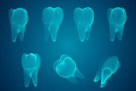 vector set of 3d teeth for dental medicine.のイラスト素材