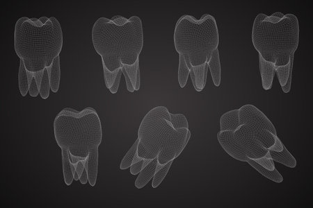 vector set of 3d teeth for dental medicine.のイラスト素材