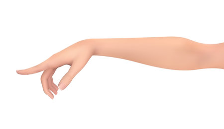 female vector hand with a gesture pointing to the sideのイラスト素材