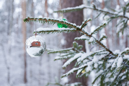 Christmas tree toy - silver ball on a branch of a Christmas tree in the forestの写真素材
