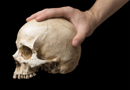 hand holding a skull is isolated on black backgroundの写真素材