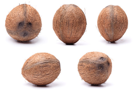 set of big coconuts isolated on white background