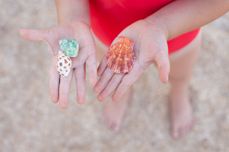 young girl playing with shells on the beach