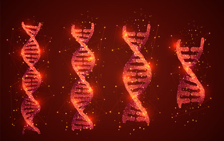 vector. part of the human dna. 3d triangular abstract style.のイラスト素材