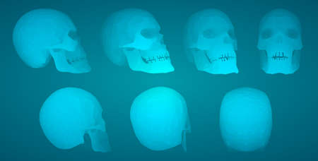vectorial set of human skulls with square and triangular polygons.のイラスト素材