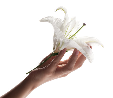 The lily flower lies on a hand of the girlの写真素材