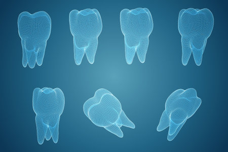 vector set of 3d teeth for dental medicine.のイラスト素材