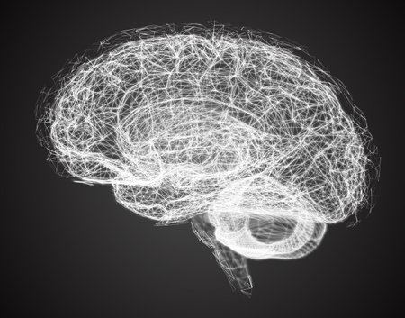 Vector illustration, three-dimensional brain on a dark backgroundのイラスト素材