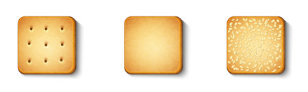 vector set of festive ginger biscuits with sesame seeds isolated on white backgroundのイラスト素材