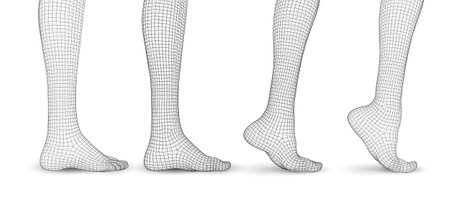 set of vector female legs. 3d illustration of lifting the leg. health and choice of shoesのイラスト素材