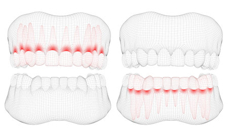human jaw. 3d vector layout. medicine and health. pain teeth.のイラスト素材