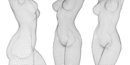 A three-dimensional female body from square polygons. Black and white style.のイラスト素材