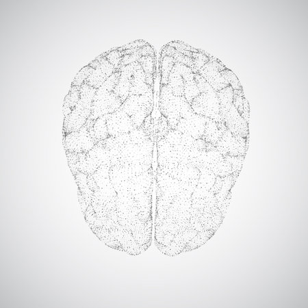 3D vector cyber brain. neural network mega-data processing, template interface design on a white background.のイラスト素材