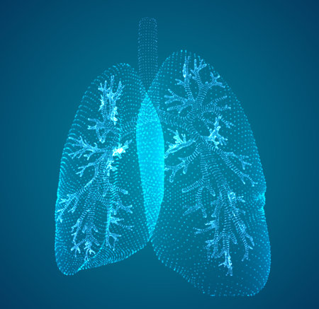 vector lungs and bronchi. vector design. point and dot styleのイラスト素材