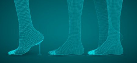 three-dimensional female feet. vector template. finished item. foot careのイラスト素材