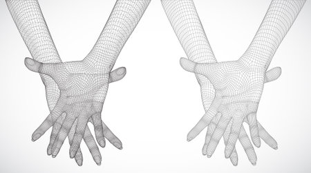 3d woman's hands. vector illustration on white background. three-dimensional grid of segments and squaresのイラスト素材