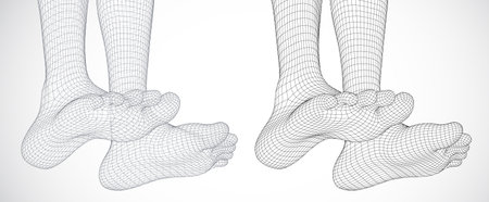 three-dimensional female feet. vector template. finished item. foot careのイラスト素材
