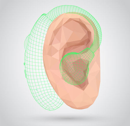 vector human ear. hearing treatment, plastic surgery, implantationのイラスト素材
