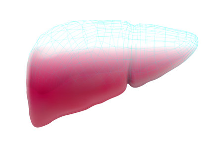 human liver. 3d vector. health and medicine. organ sealのイラスト素材