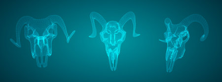vector ram skull. 3d image of segments and polygonsのイラスト素材