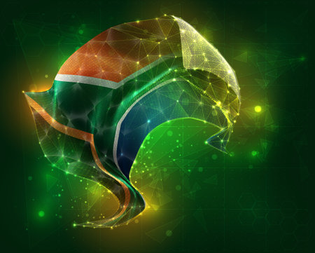 South Africa, vector 3d flag virtual triangular polygons on a color backgroundのイラスト素材