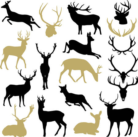 Deers silhouettes silhouettes and antlersのイラスト素材